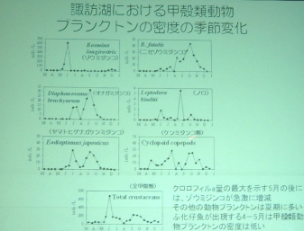 fig.02 ����������씎�V��C��������
�w�n�����g�����󂢌Ώ��̋��Ɛ��Y�ɗ^����e���F���J�T�M�ɂ��āx