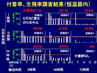 fig.03b �^��C�ꂳ�񌴔Œ�