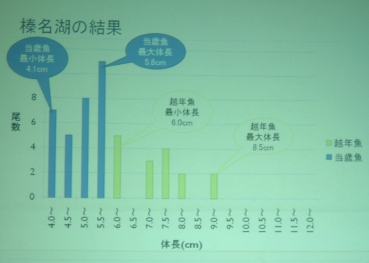 fig.05 �Q�n�����Y������i���u��C��
�w�Q�n�����̌Ώ��ŋ��l���ꂽ���J�T�M�̔N��x