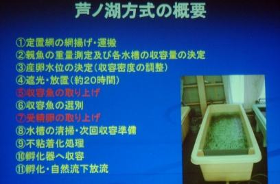 fig.07 ���V�΋��Ƌ����g���k��@�F�����ǒ��E����v�g�����́w���m�΂ɂ����郏�J�T�M���B���@
�̊m�����Ƃ��̌��ʁx