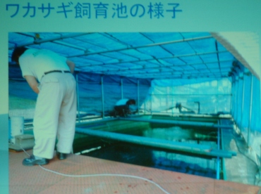 fig.12 �͌��΋��Ƌ����g���n�Ӂ@�v������
�w�͌��΂̃��J�T�M�����Ɍ��������g�݁x