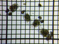 fig.04 �c�{�����V