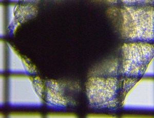 fig.04a �S����