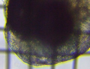 fig.04b �S����