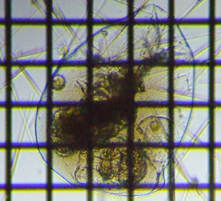 fig.01 �t�N�������V