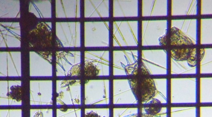 fig.07 �����a���D�ǌ�O��