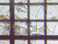 fig.08 �e�}�������V