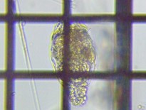 fig.09 �e�}�������V