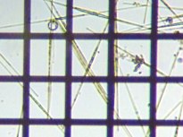 fig.15 �V�l�h�����i�]���j