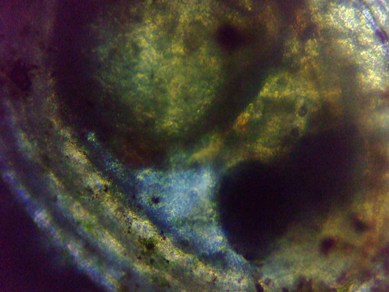 fig.04 �Y��������a