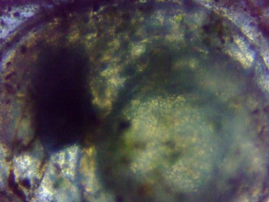 fig.05 �Y��������b