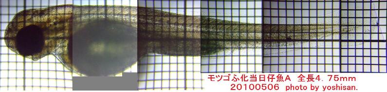 fig.06 �Ӊ������e��A