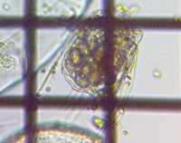 fig.05 �n�l�E�f�����V