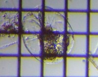 fig.07 �t�N�������V