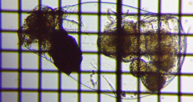 fig.10 �t�N�������V