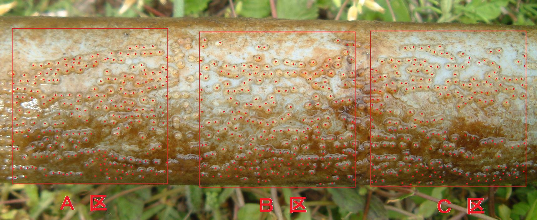 fig.01 �g���
click here to return.