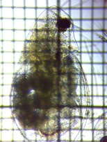 fig.04 �_�t�j�A