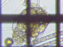 fig.06 �e�}�������V