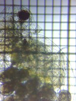 fig.05 �_�t�j�A