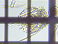 fig.07 �n�l�E�f�����V