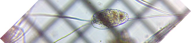 fig.13 �~�c�E�f�����V