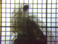 fig.04 �_�t�j�A