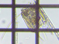 fig.05 �n�l�E�f�����V