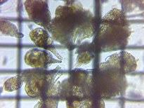 fig.06 �e�}�������V