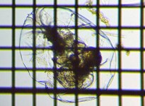 fig.07 �t�N�������V