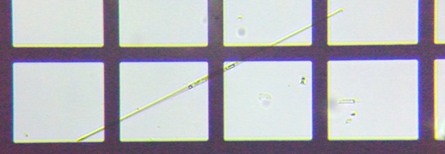 fig.10 �V�l�h�����i�]���j