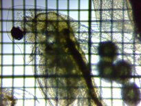 fig.04 �_�t�j�A