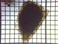 fig.07 ����i�x�����j