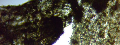 fig.08 �f�g���^�X