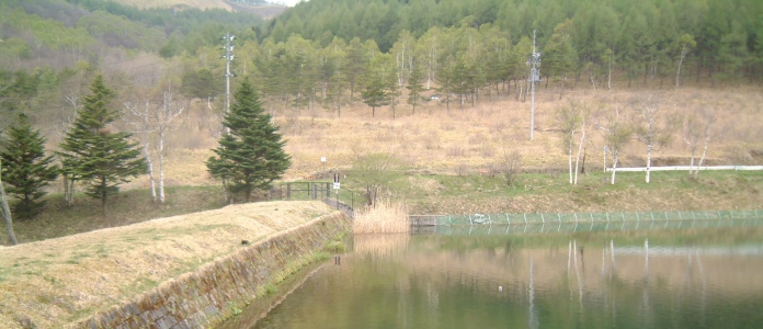 ��Q������