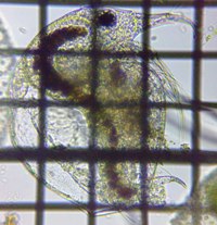 fig.03 �]�E�~�W���R