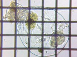 fig.08 �t�N�������V