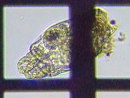 fig.09 �e�}�������V