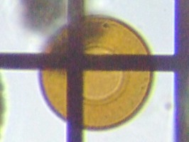 fig.14 �A���P����