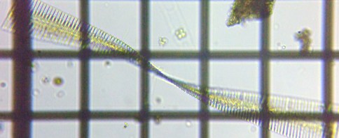 fig.20 �t���M�����A��