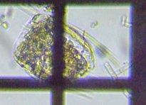 fig.08 �n�l�E�f�����V