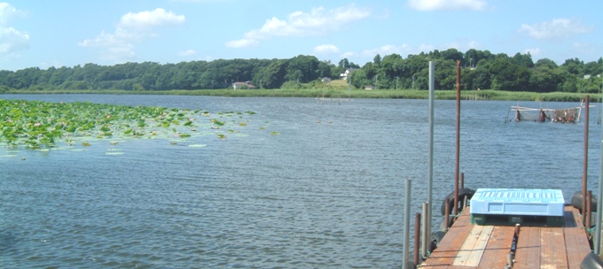 fig.a ���v��