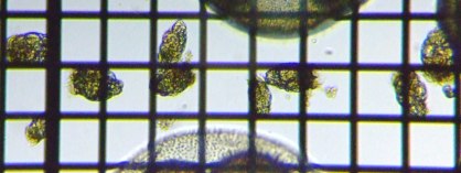 fig.07 �e�}�������V