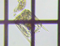 fig.07 �n�l�E�f�����V