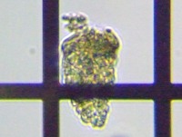 fig.09 �e�}�������V