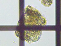 fig.10 �~�h�������V