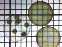 fig.14 �{���{�b�N�X��