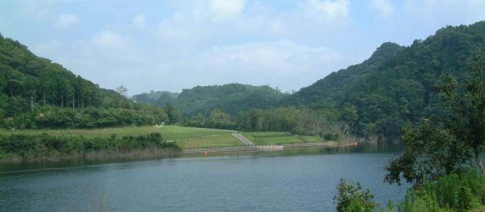 fig.0a �����