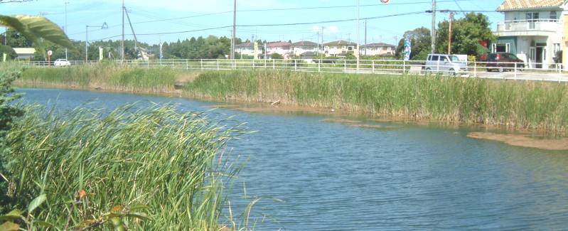 fig.00 ��P��r