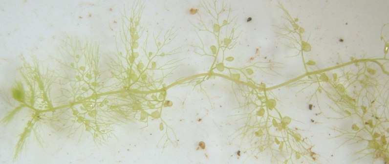 fig.02 �����t