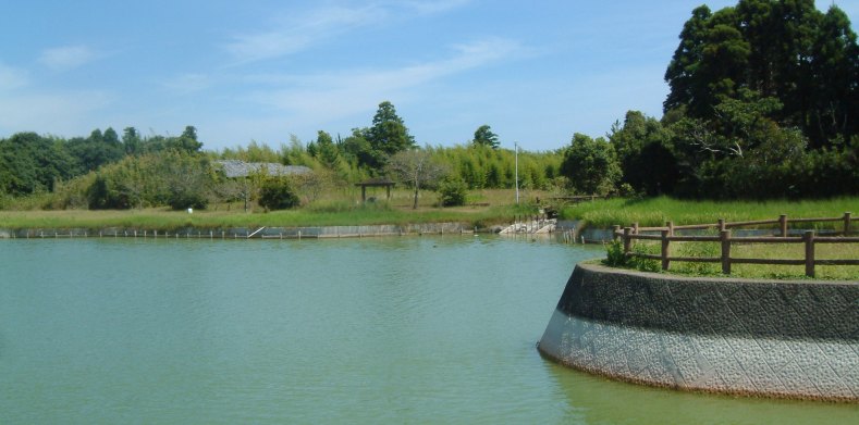 fig.0a �{���̒r